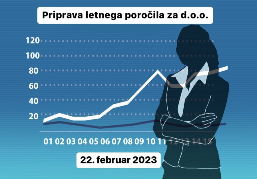 Letno porocilo doo_linkedin